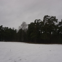 Сестрорецк п.Разлив.