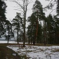 Сестрорецк п.Разлив.