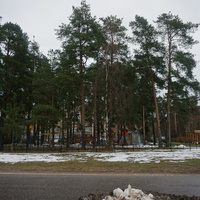 Сестрорецк п.Разлив.