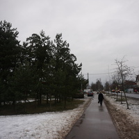 Сестрорецк п.Разлив.