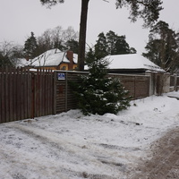 Лахта.Ольгино