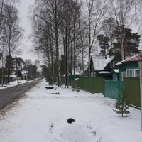 Лахта.Ольгино