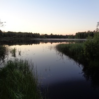 Озеро Опаринское. Новгородская область.