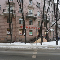 Большая Пушкарёвская улица.