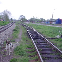Станция Большая Елань