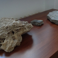 Палеонтолого-стратиграфический музей