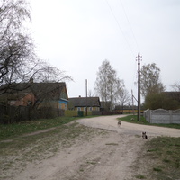 Деревня Ботово (Пинский район)