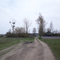 Деревня Ботово (Пинский район)