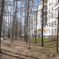 Сыктывкар 2018