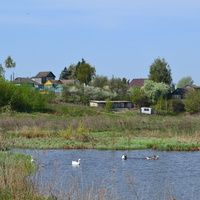 Вид на деревню со стороны реки Недны