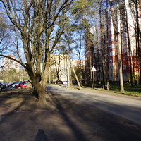 Сестрорецк