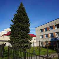 Сестрорецк