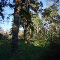 Сестрорецк