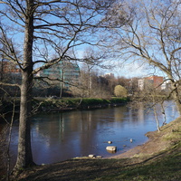 Сестрорецк