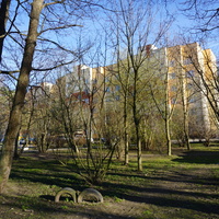 Сестрорецк