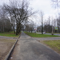 Мартышкино.