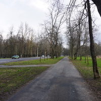 Мартышкино