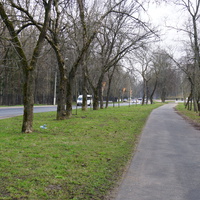 Мартышкино