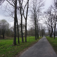 Мартышкино