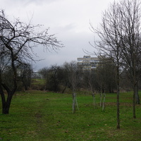 Мартышкино