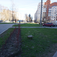 Сестрорецк