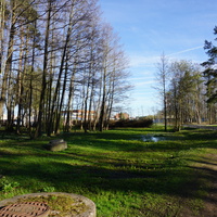 Сестрорецк