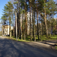 Сестрорецк