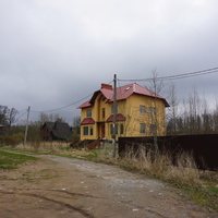 Мартышкино.