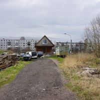 Мартышкино.