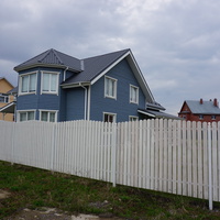 Мартышкино.