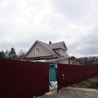 Мартышкино.