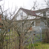 Мартышкино.