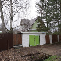 Мартышкино.