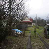 Мартышкино.