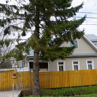 Мартышкино.