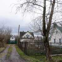 Мартышкино.