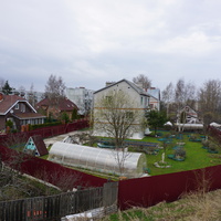 Мартышкино.