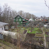 Мартышкино.