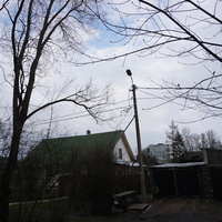 Мартышкино.