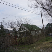 Мартышкино.