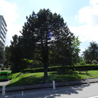 Cran-Gevrier 2018 France