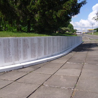 Прізвища жителів Городища які загинули на фронтах війни.