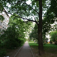 Парк Технического университета.
