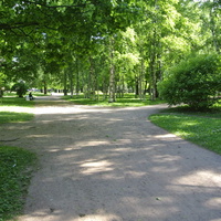 На проспекте Энгельса.