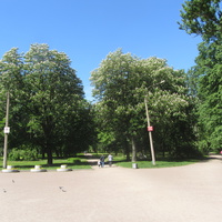 В парке "Екатерингоф"