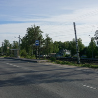Сестрорецк (Тарховка).