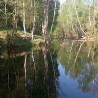Канал Краснослободский "Лесной"
