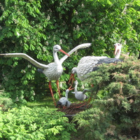 Диво-Остров