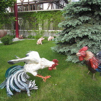 Диво-Остров