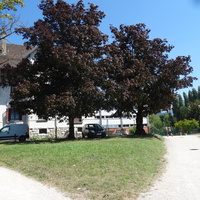 Cran-Gevrier 2018 France